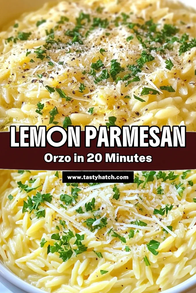 Indulge in this Creamy Lemon Parmesan Orzo, a delightful one-pot recipe that's perfect for busy weeknights! This easy lemon pasta dish combines tender orzo with rich heavy cream and fresh parmesan, creating a vegetarian creamy pasta that will please everyone. Quick to prepare and bursting with flavor, this orzo pasta recipe is sure to become a favorite. Try it today and savor the deliciousness! #OrzoPastaRecipes #EasyLemonPastaDish #VegetarianCreamyPasta #OnePotOrzoRecipes